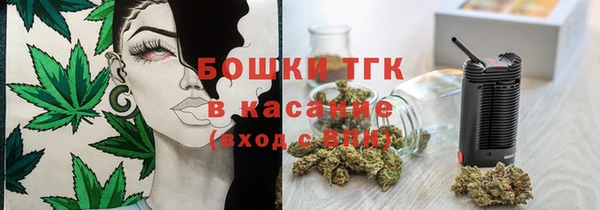 ПСИЛОЦИБИНОВЫЕ ГРИБЫ Верхний Тагил