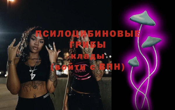 spice Верея