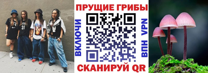 Купить  Кандалакша  Галлюциногенные грибы Psilocybine cubensis 